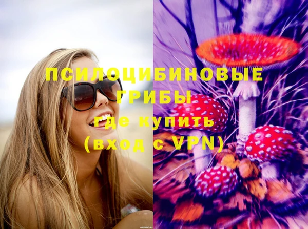 соль курить ск Верея