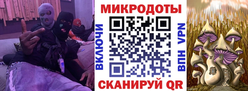 Купить закладки  Петровск-Забайкальский  Галлюциногенные грибы мицелий 